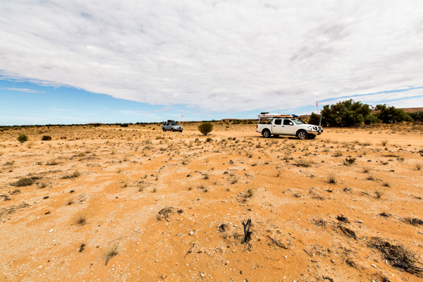 ©Roslyn Budd - www.buddphotography.com.au