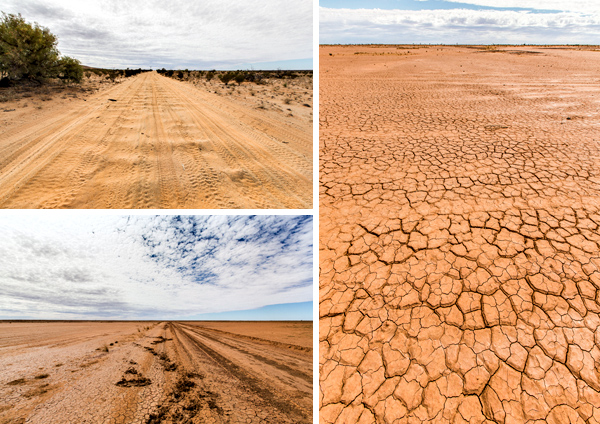 ©Roslyn Budd - www.buddphotography.com.au