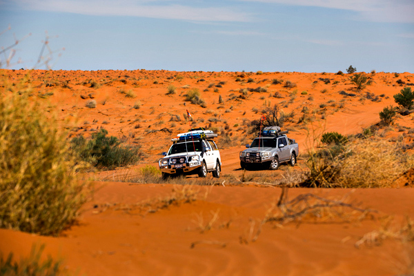 ©Roslyn Budd - www.buddphotography.com.au