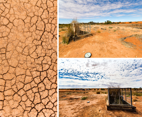 ©Roslyn Budd - www.buddphotography.com.au