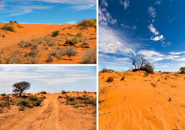 ©Roslyn Budd - www.buddphotography.com.au