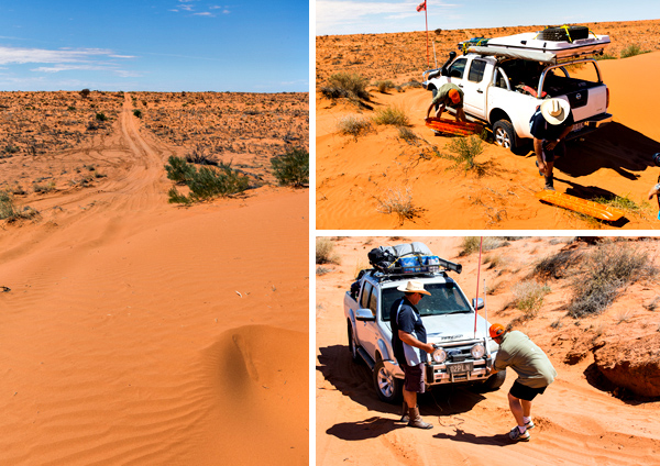 ©Roslyn Budd - www.buddphotography.com.au