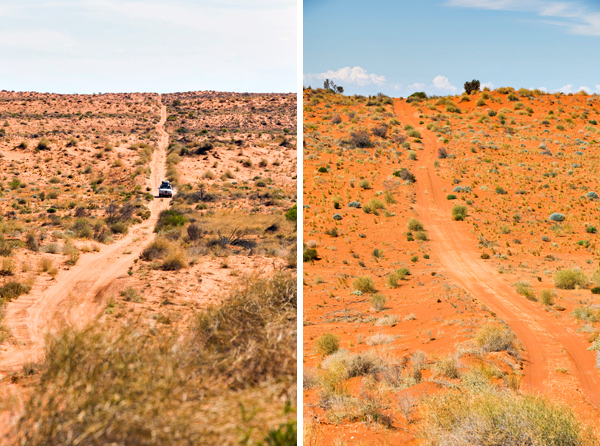 ©Roslyn Budd - www.buddphotography.com.au