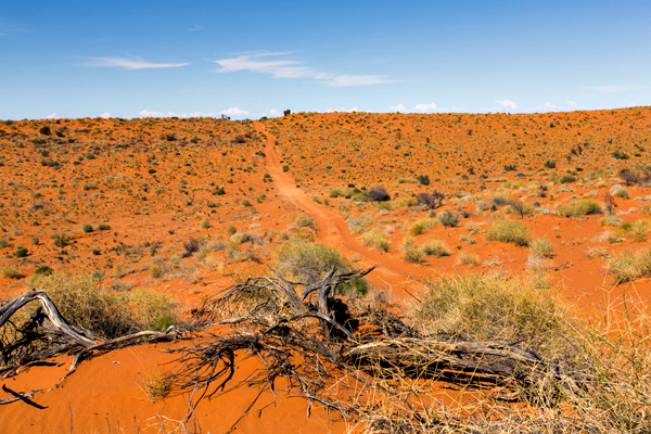 ©Roslyn Budd - www.buddphotography.com.au