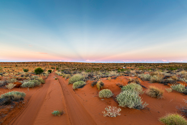 ©Roslyn Budd - www.buddphotography.com.au