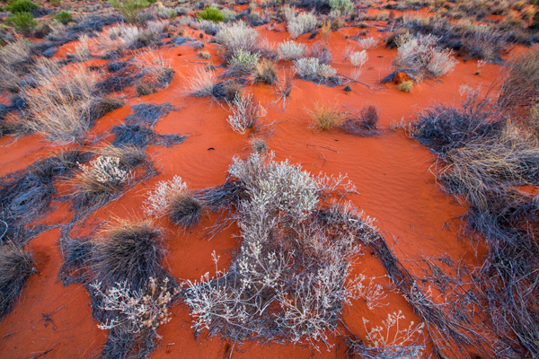 ©Roslyn Budd - www.buddphotography.com.au