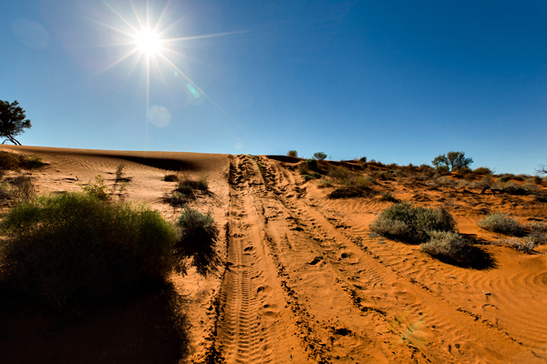 ©Roslyn Budd - www.buddphotography.com.au