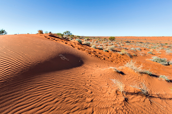 ©Roslyn Budd - www.buddphotography.com.au