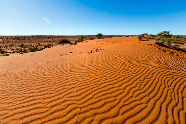©Roslyn Budd - www.buddphotography.com.au