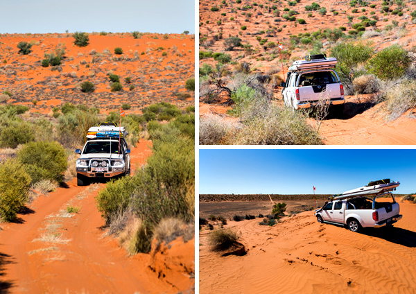 ©Roslyn Budd - www.buddphotography.com.au