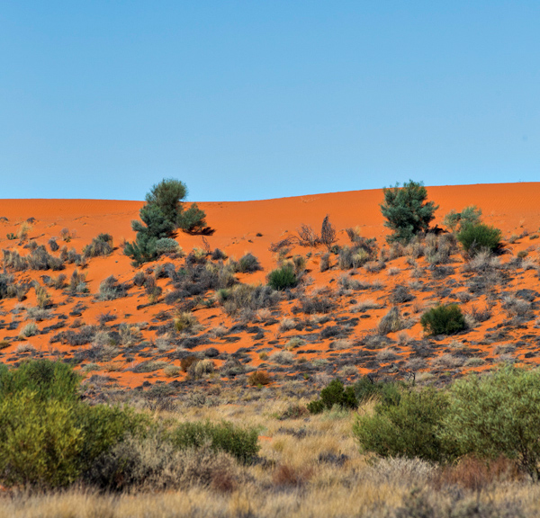 ©Roslyn Budd - www.buddphotography.com.au