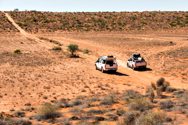 ©Roslyn Budd - www.buddphotography.com.au