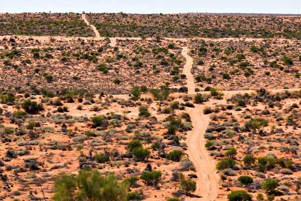 ©Roslyn Budd - www.buddphotography.com.au