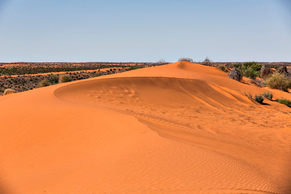 ©Roslyn Budd - www.buddphotography.com.au