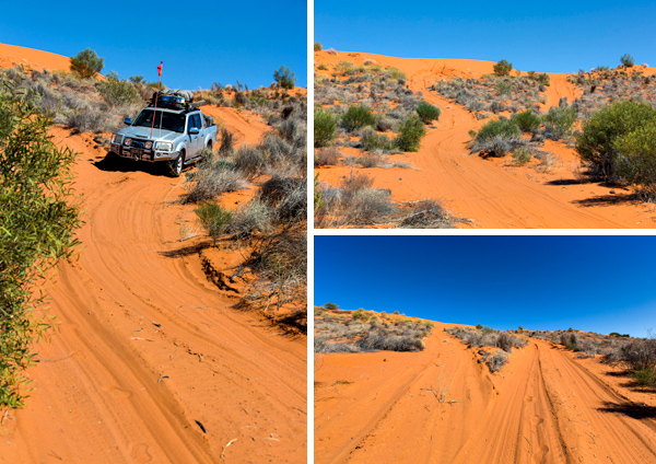 ©Roslyn Budd - www.buddphotography.com.au