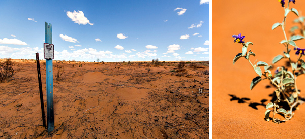 ©Roslyn Budd - www.buddphotography.com.au