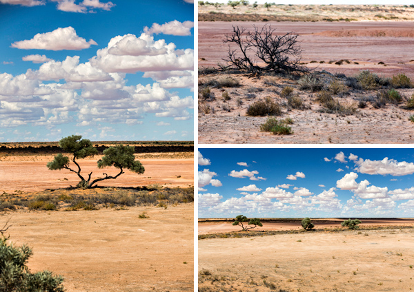 ©Roslyn Budd - www.buddphotography.com.au