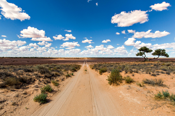©Roslyn Budd - www.buddphotography.com.au