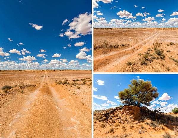 ©Roslyn Budd - www.buddphotography.com.au