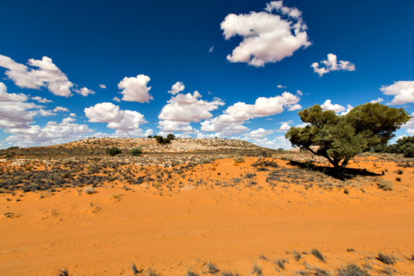 ©Roslyn Budd - www.buddphotography.com.au