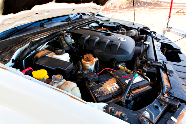 ©Roslyn Budd - www.buddphotography.com.au