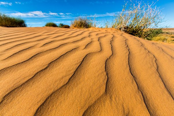 ©Roslyn Budd - www.buddphotography.com.au