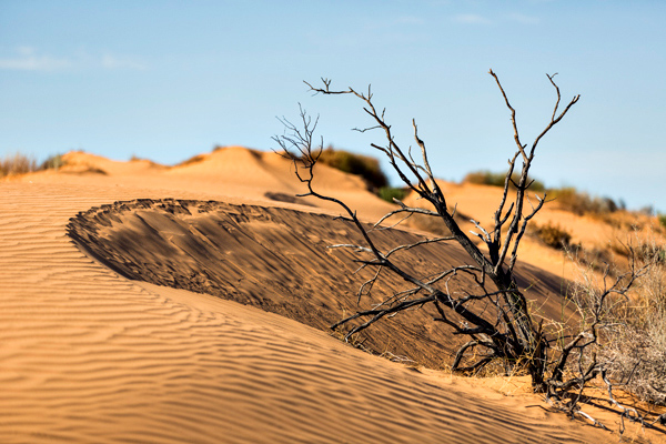 ©Roslyn Budd - www.buddphotography.com.au