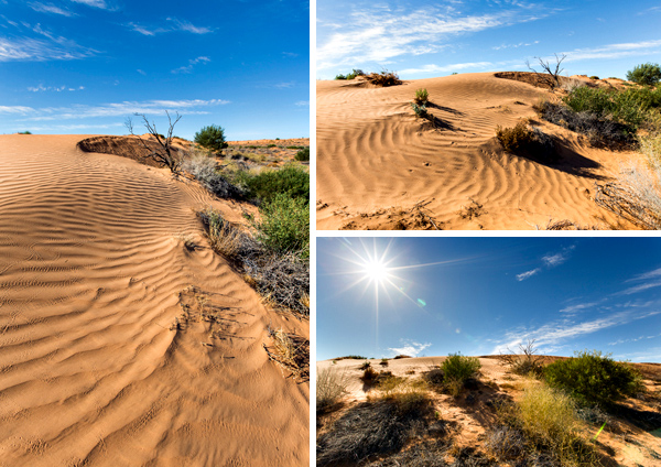 ©Roslyn Budd - www.buddphotography.com.au