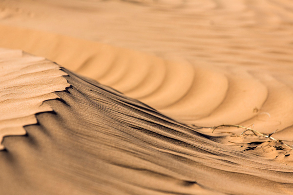 ©Roslyn Budd - www.buddphotography.com.au