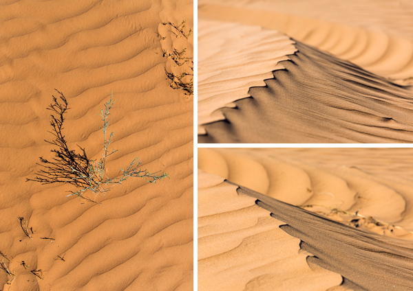 ©Roslyn Budd - www.buddphotography.com.au