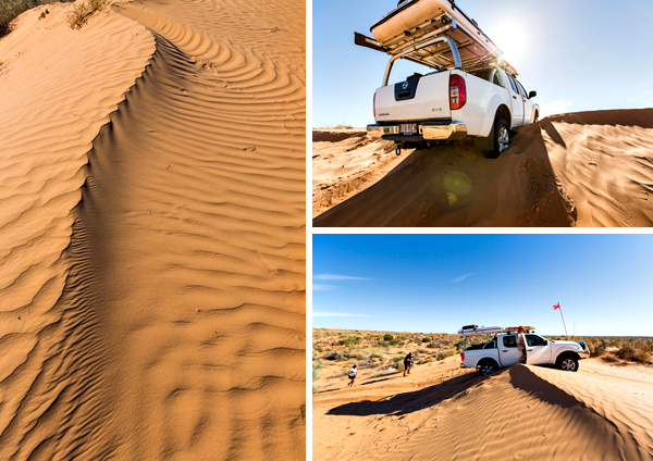 ©Roslyn Budd - www.buddphotography.com.au