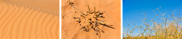 ©Roslyn Budd - www.buddphotography.com.au