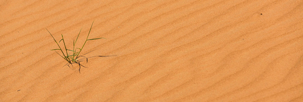 ©Roslyn Budd - www.buddphotography.com.au