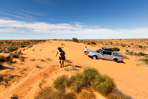 ©Roslyn Budd - www.buddphotography.com.au