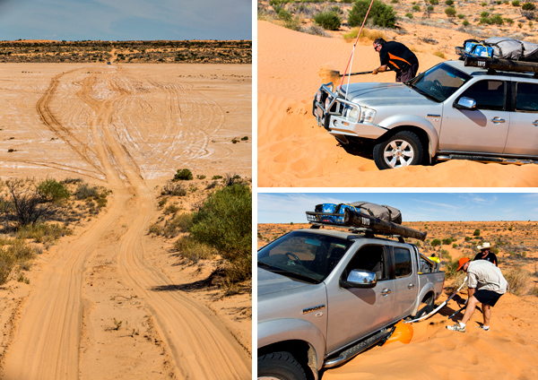 ©Roslyn Budd - www.buddphotography.com.au