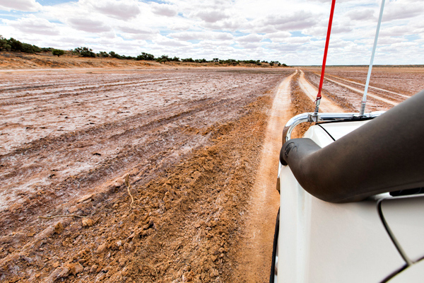 ©Roslyn Budd - www.buddphotography.com.au