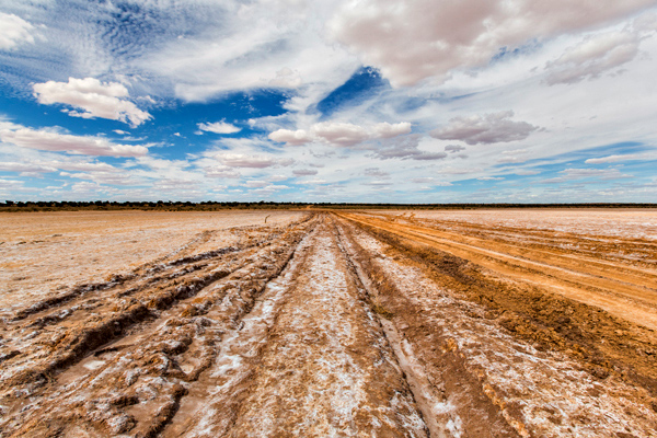 ©Roslyn Budd - www.buddphotography.com.au