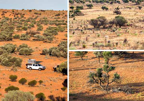 ©Roslyn Budd - www.buddphotography.com.au