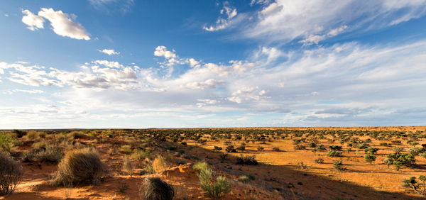 ©Roslyn Budd - www.buddphotography.com.au