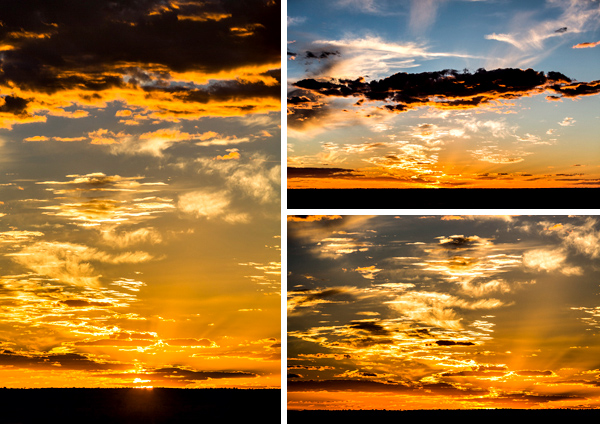 ©Roslyn Budd - www.buddphotography.com.au