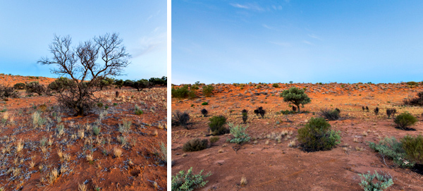 ©Roslyn Budd - www.buddphotography.com.au