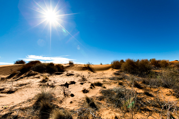 ©Roslyn Budd - www.buddphotography.com.au