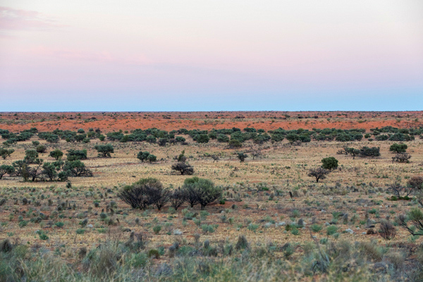 ©Roslyn Budd - www.buddphotography.com.au