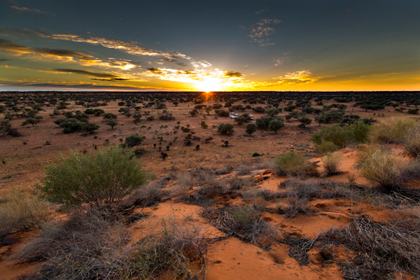 ©Roslyn Budd - www.buddphotography.com.au