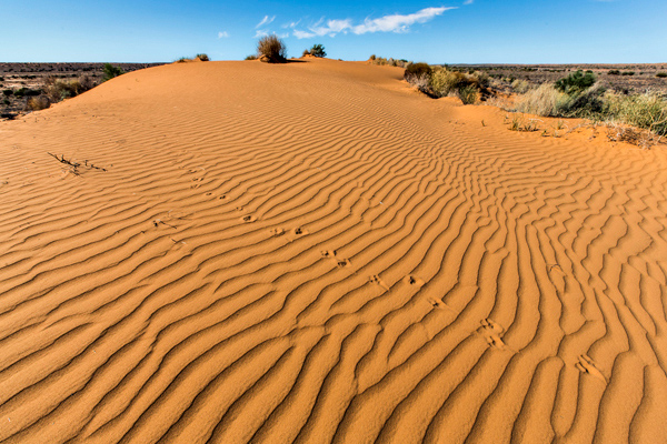 ©Roslyn Budd - www.buddphotography.com.au