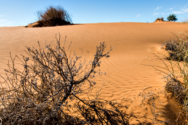 ©Roslyn Budd - www.buddphotography.com.au