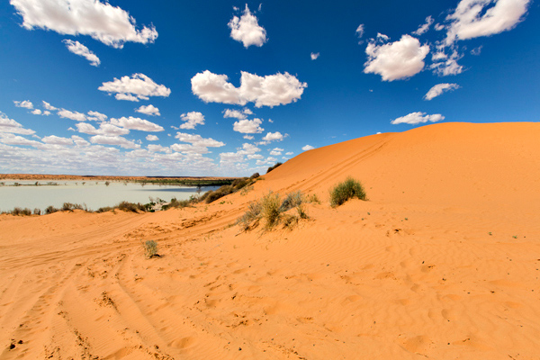 ©Roslyn Budd - www.buddphotography.com.au