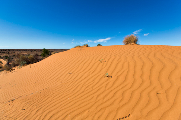 ©Roslyn Budd - www.buddphotography.com.au