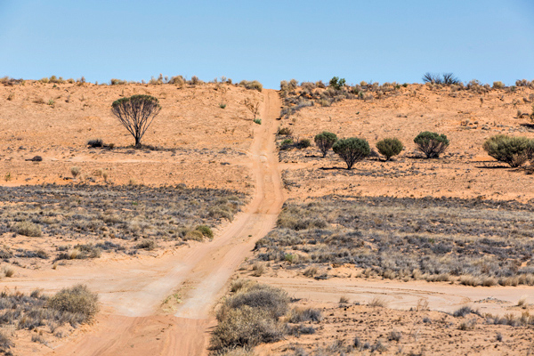 ©Roslyn Budd - www.buddphotography.com.au