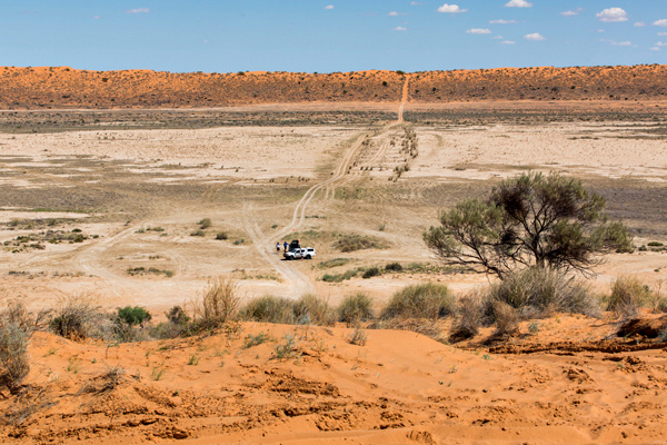 ©Roslyn Budd - www.buddphotography.com.au